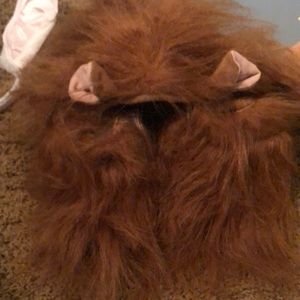 Extra large Halloween dog costume